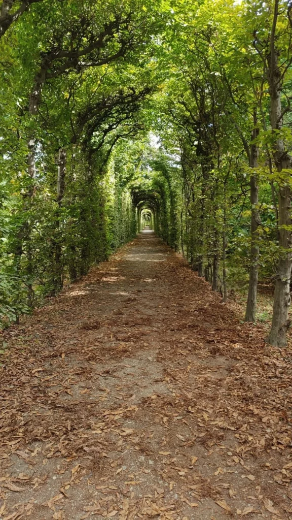 paisaje